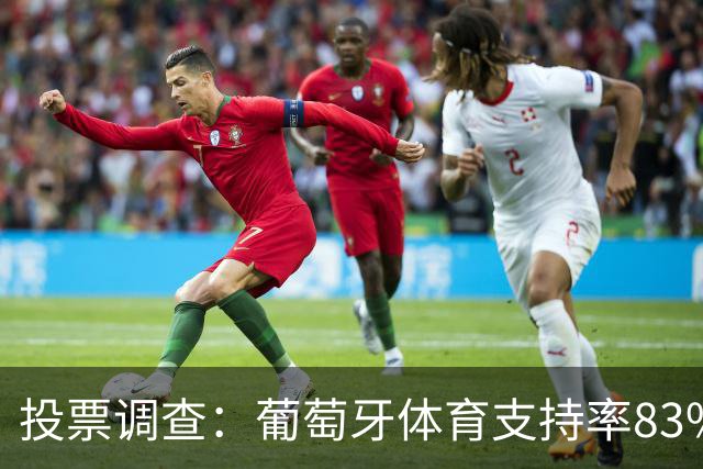 投票调查：葡萄牙体育支持率83% 罗森博格得票多